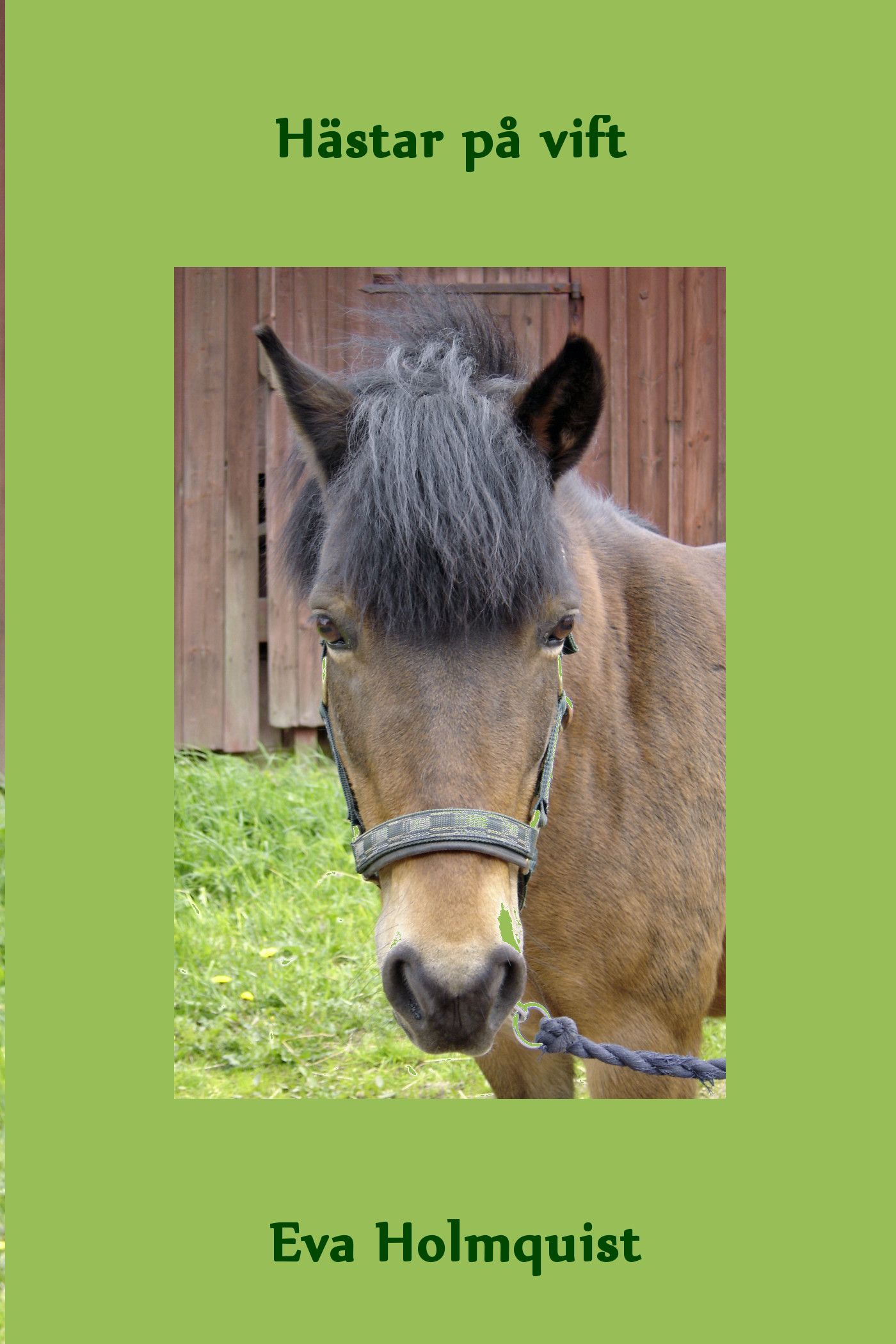 Hästar på vift, e-bog af Eva Holmquist