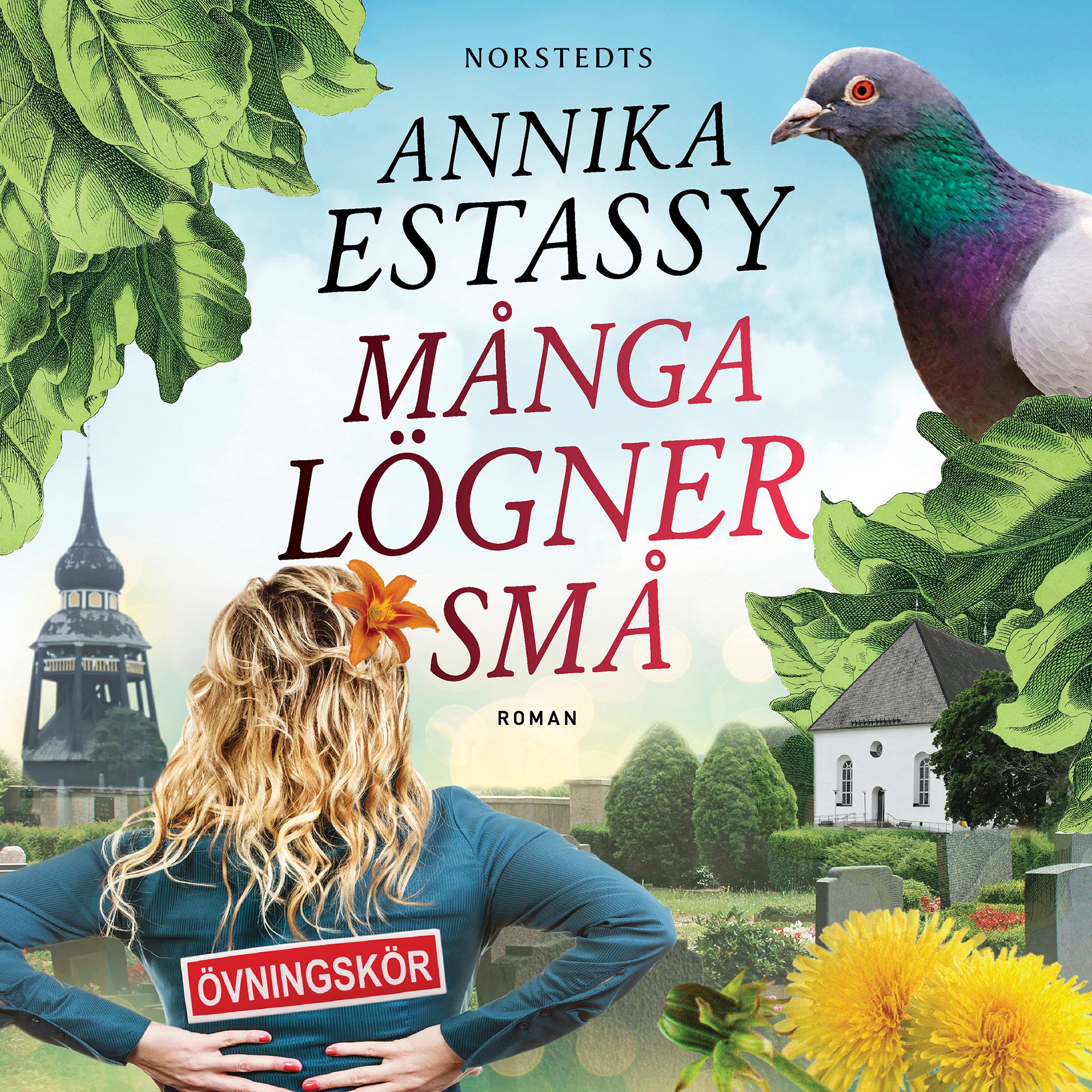 Många lögner små, ljudbok av Annika Estassy