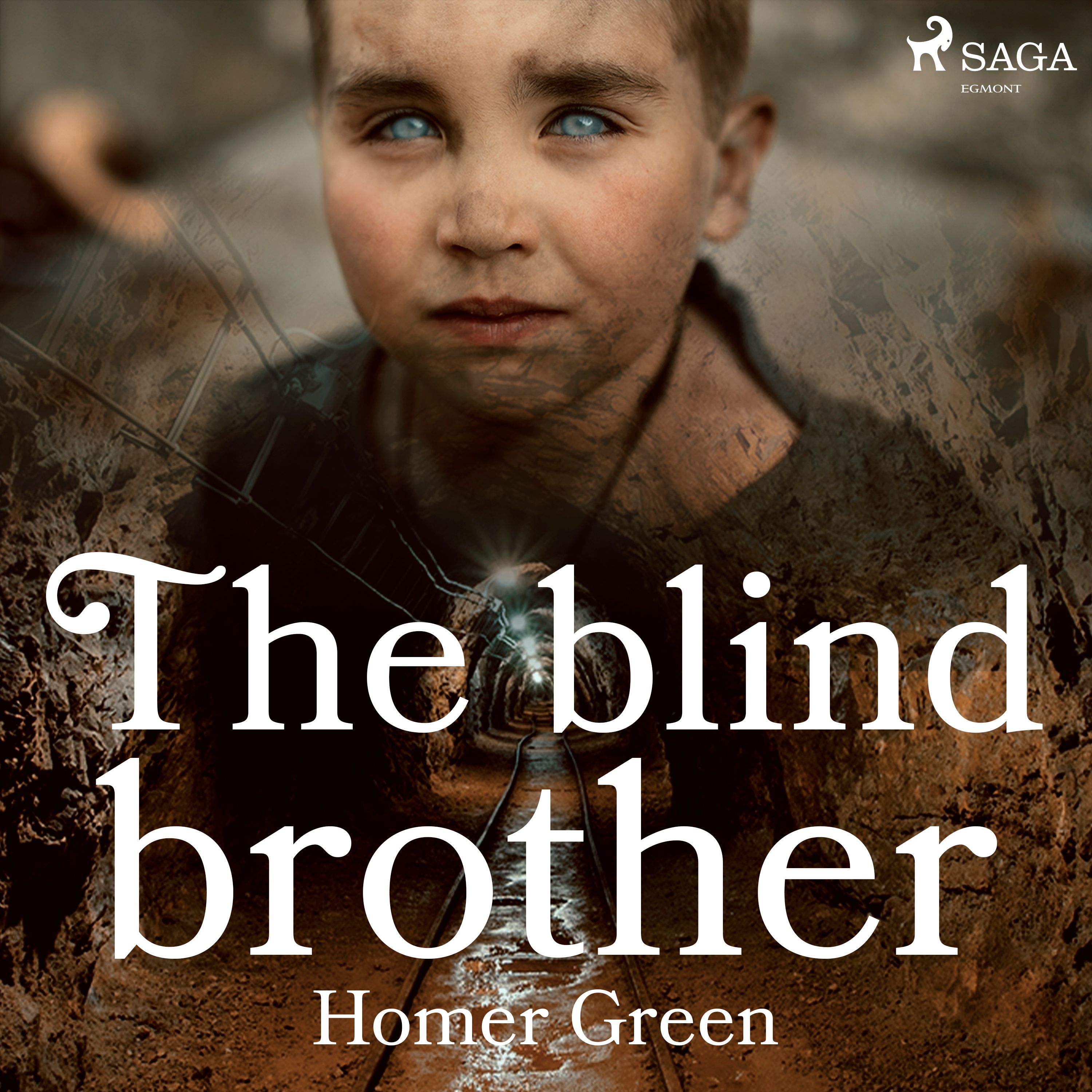 The Blind Brother, audiobook by Homer Green