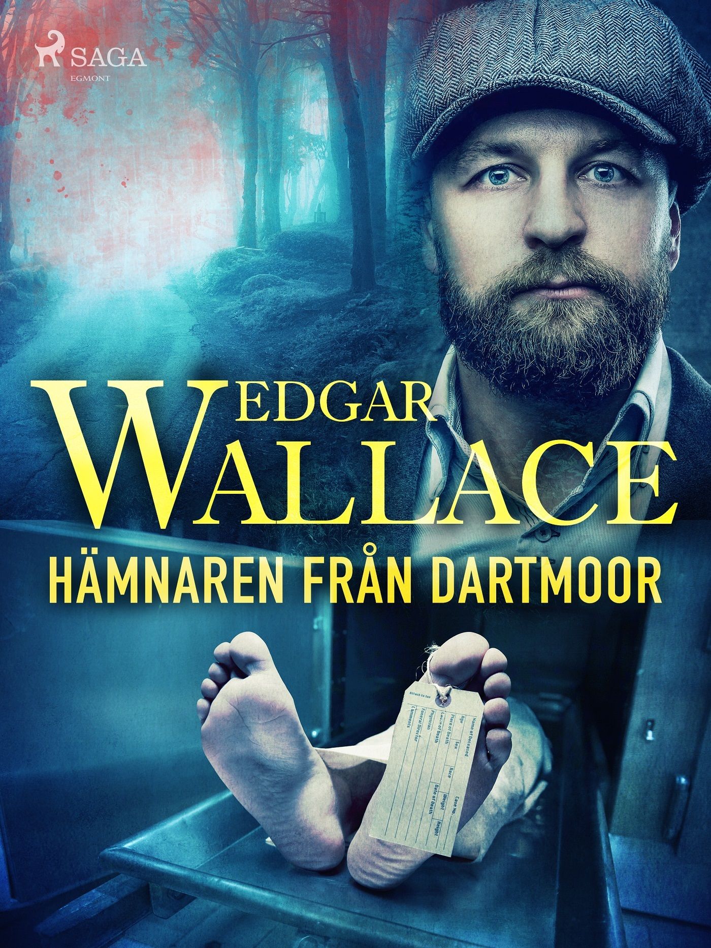 Hämnaren från Dartmoor, e-bog af Edgar Wallace