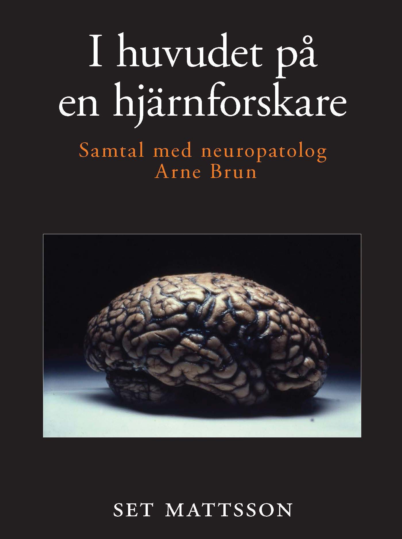 I huvudet på en hjärnforskare - samtal med neuropatolog Arne Brun, e-bog af Set Mattsson