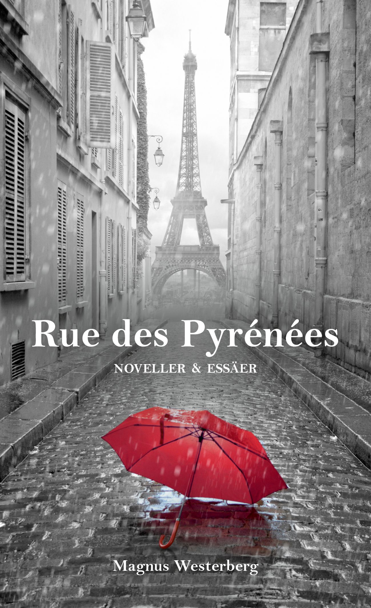 Rue des Pyrénées, e-bok av Magnus Westerberg