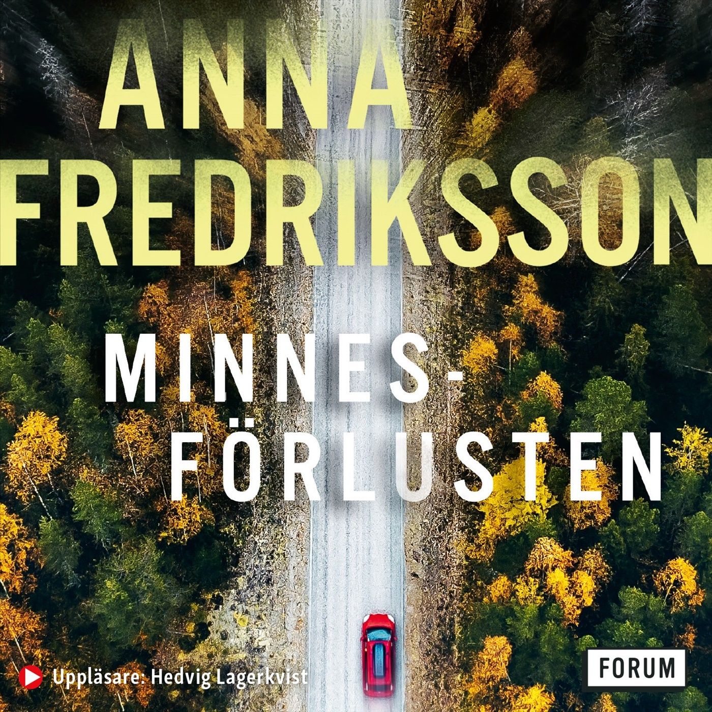 Minnesförlusten, ljudbok av Anna Fredriksson