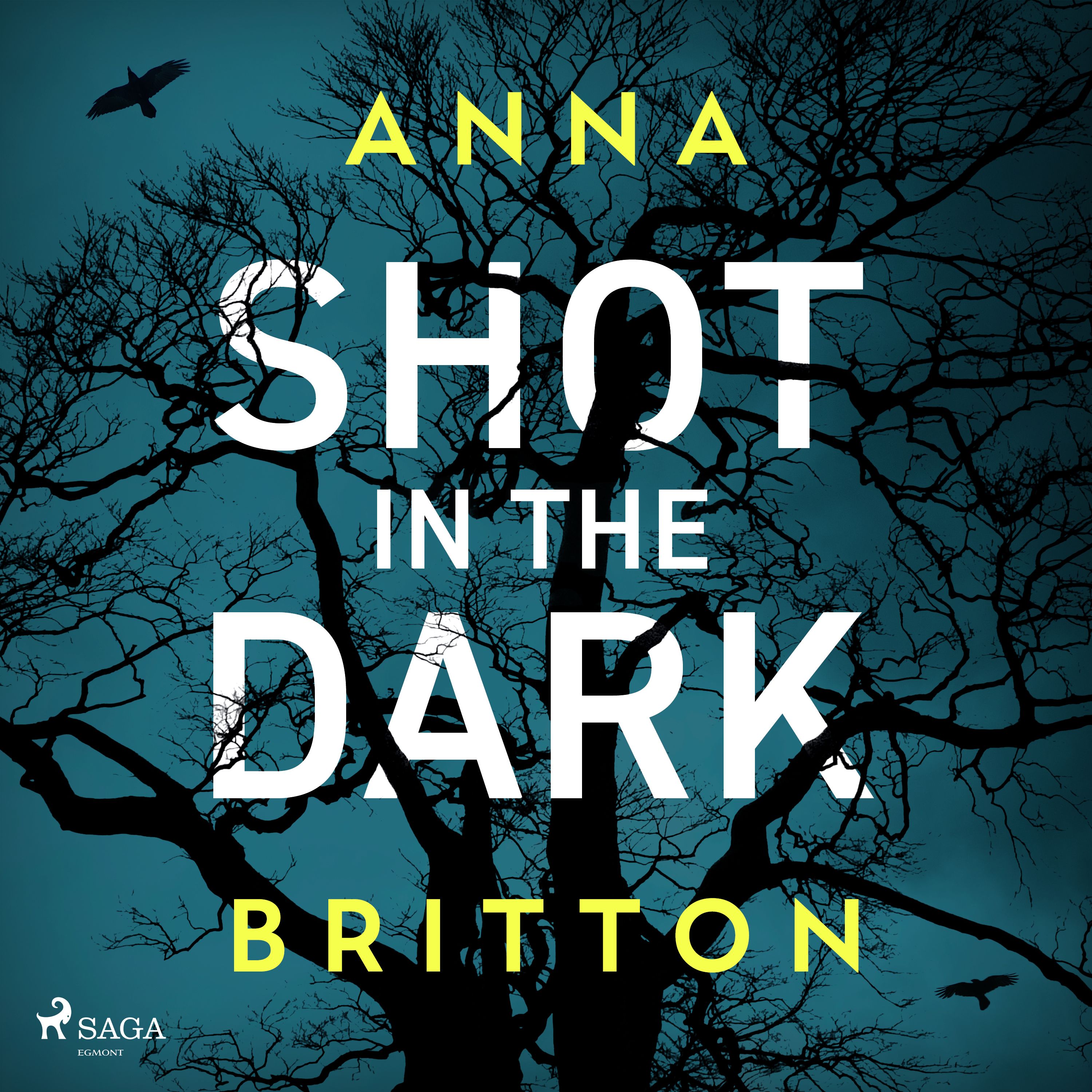 Shot in the Dark, audiobook by Anna Britton