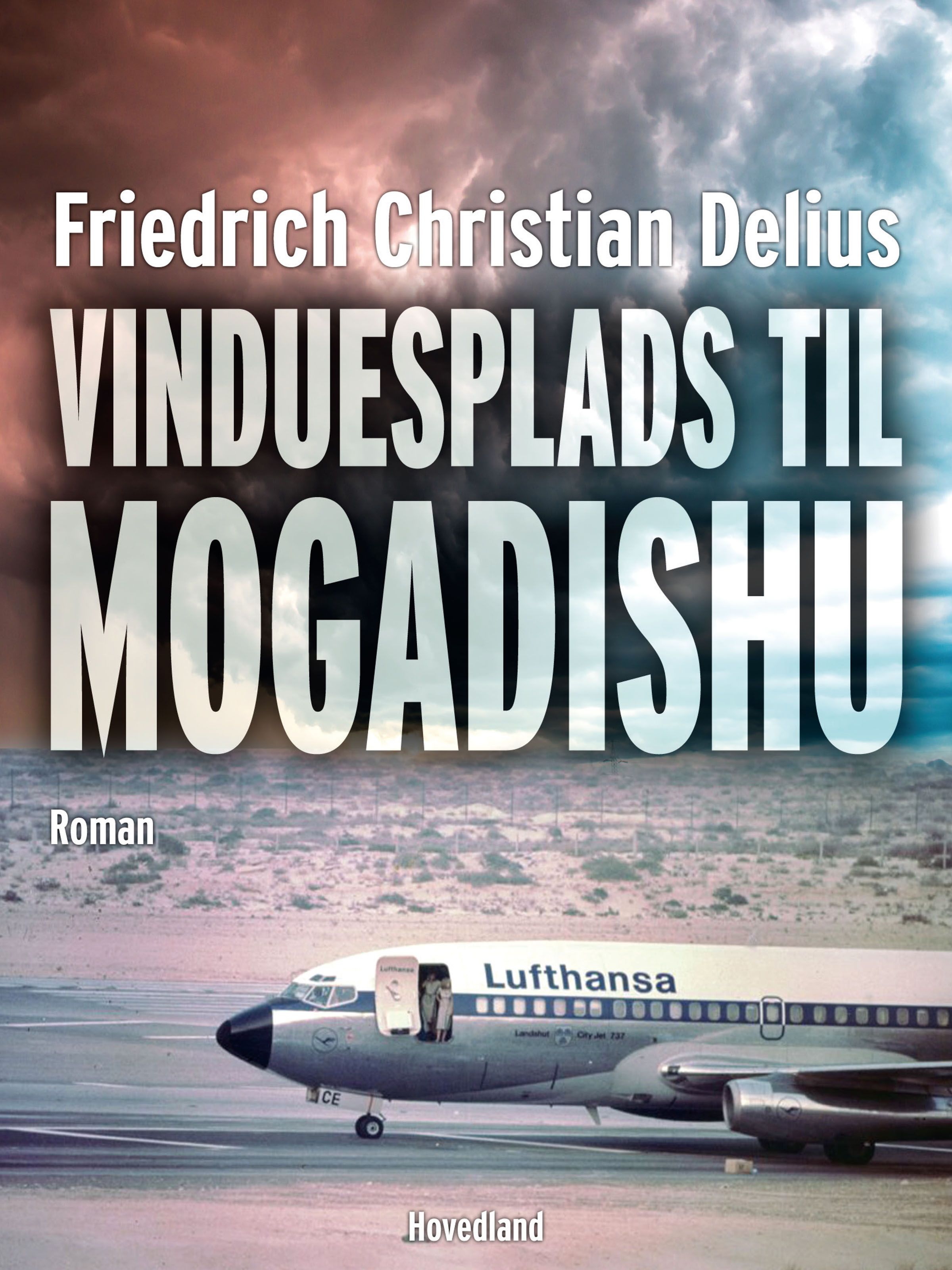 Vinduesplads Mogadishu, e-bok av Friedrich Christian Delius