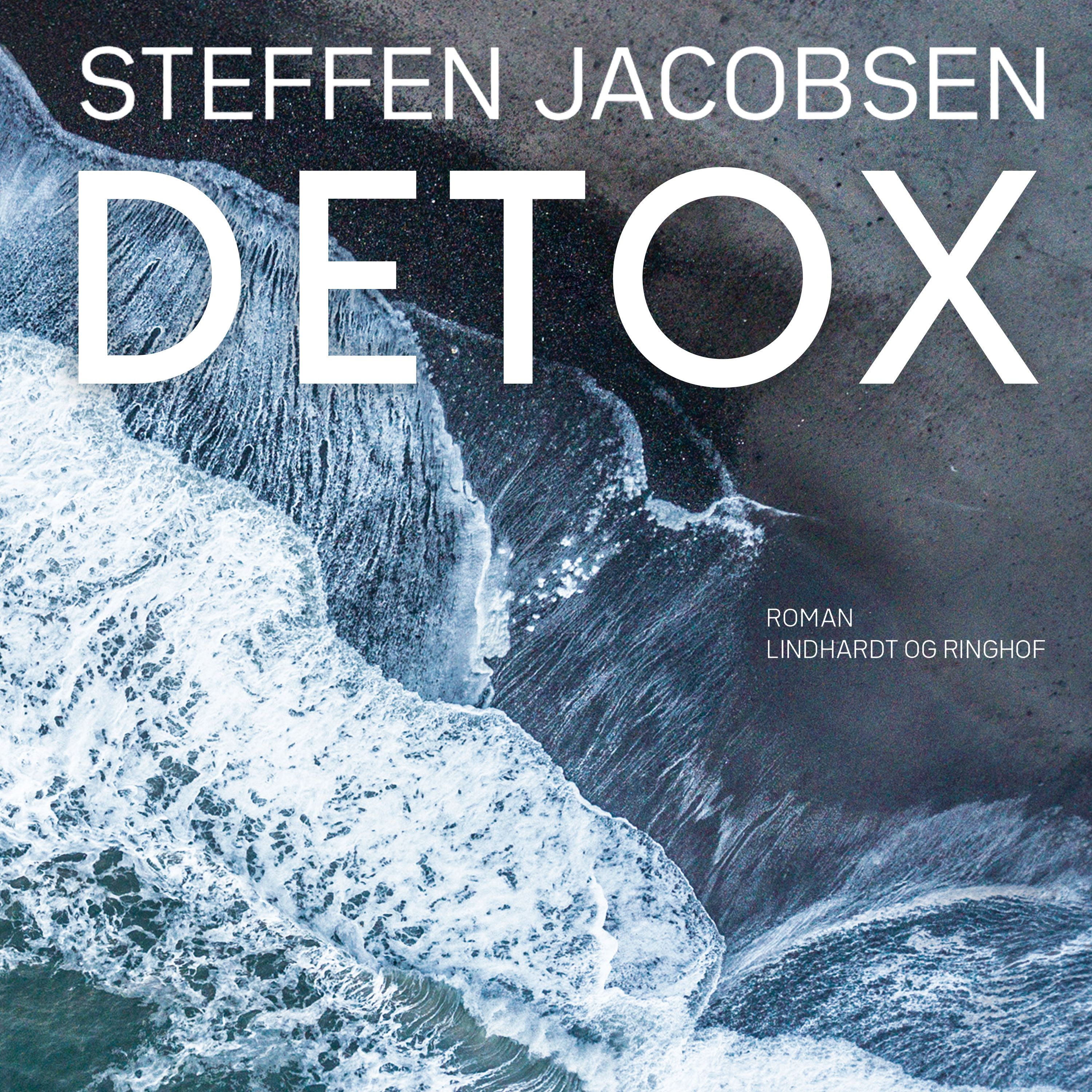 Detox, lydbog af Steffen Jacobsen