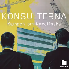 Konsulterna: kampen om Karolinska