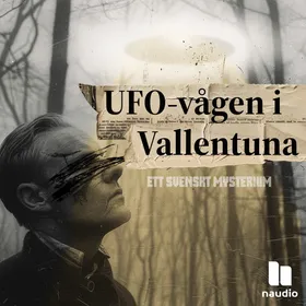 UFO-vågen i Vallentuna