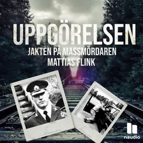 Uppgörelsen: Jakten på massmördaren Mattias Flink