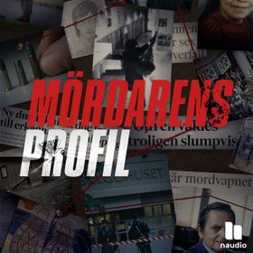 Mördarens profil