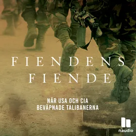 Fiendens fiende